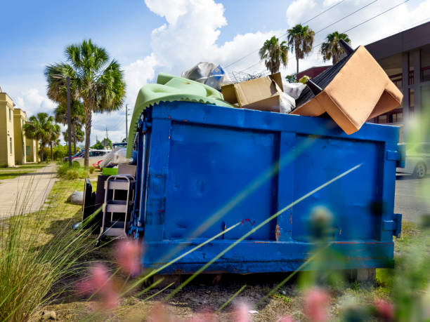 Debris Removal in Riva, MD